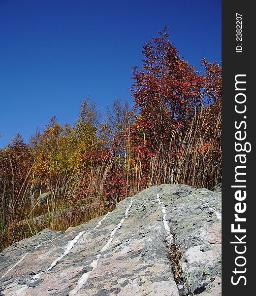 Fine autumn landscape. Striped stone. Fine autumn landscape. Striped stone
