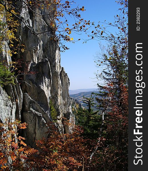 Autumn forest in colour. Rock among foliage. Autumn forest in colour. Rock among foliage