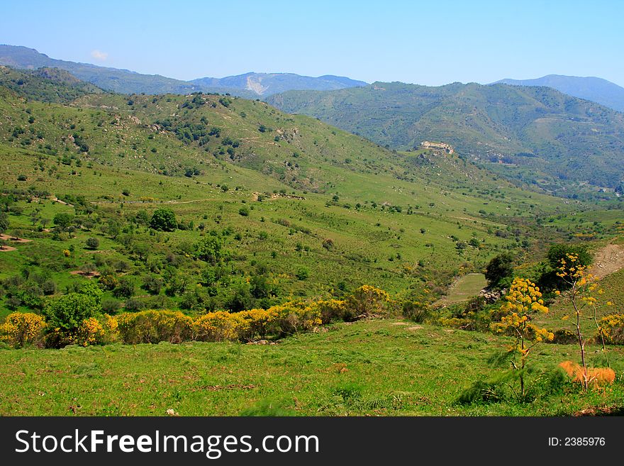 Green landscape and yellow flowers in sicily near Etna volcano