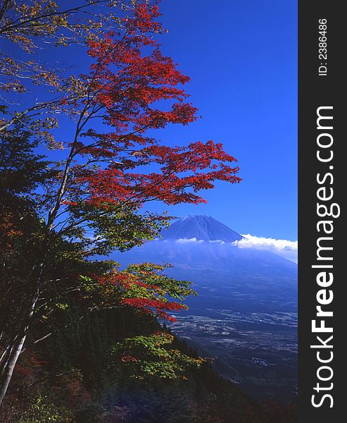 Beautiful Fall colors overlooking Mount Fuji. Beautiful Fall colors overlooking Mount Fuji
