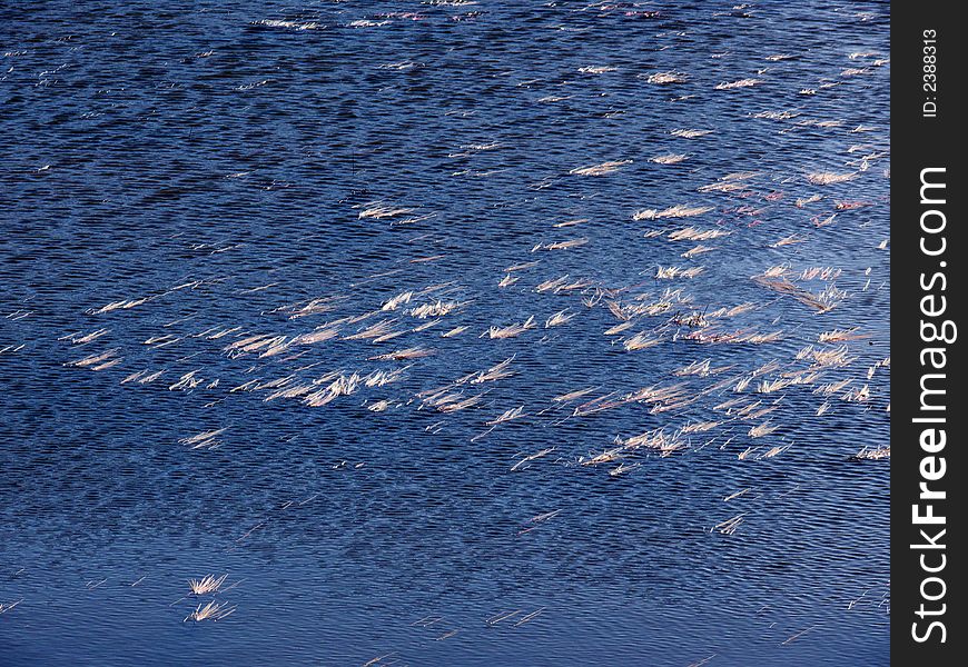 Water texture, pattern, background, dark blue ripples