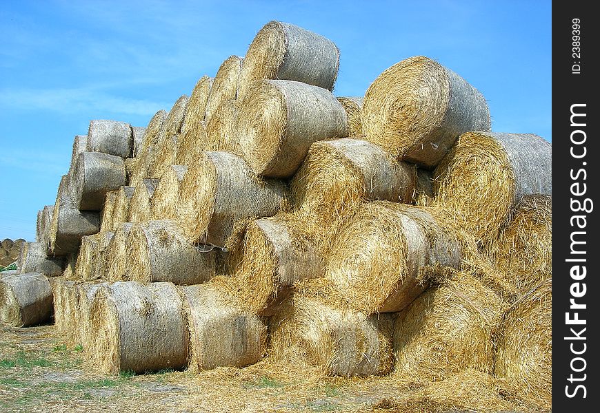 Giant Stack Of Rolled Hay Bale