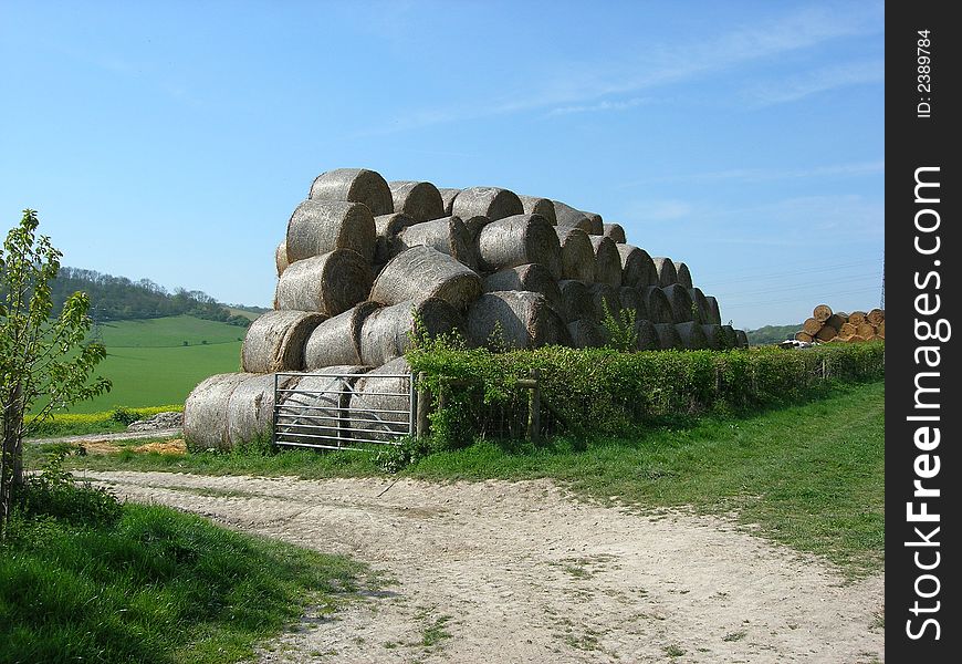 stacked rolls of hay in field