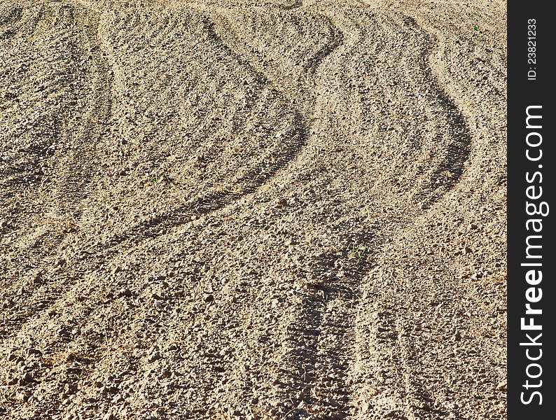 Surface of a field prepared for crops. Surface of a field prepared for crops
