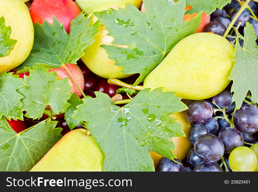 After rain, the fruit seems fresher. After rain, the fruit seems fresher