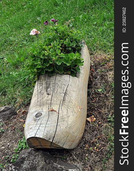 Original flower pot made of an old clog. Original flower pot made of an old clog