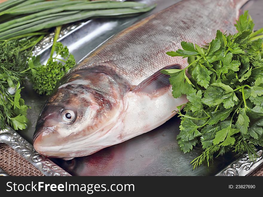 Fresh Sea Fish