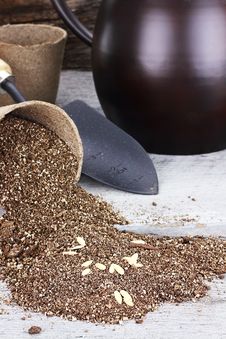 Planting Seeds In Peat Pots Royalty Free Stock Image Planting Seeds In Peat Pots Royalty Free Stock Image