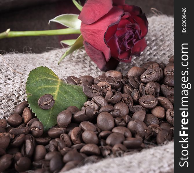 Close up photo of red rose on coffee beans