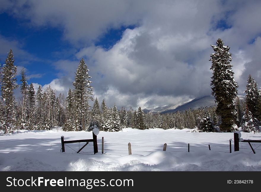 This image of the new snowfall on the field, trees and mountains with the fence in the foreground was taken in Creston, MT. This image of the new snowfall on the field, trees and mountains with the fence in the foreground was taken in Creston, MT.