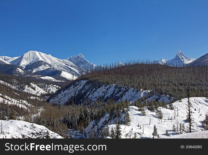 This image of the snowcovered mountain peaks and the stream flowing down the mountain valley was taken in Glacier National Park, MT. This image of the snowcovered mountain peaks and the stream flowing down the mountain valley was taken in Glacier National Park, MT.