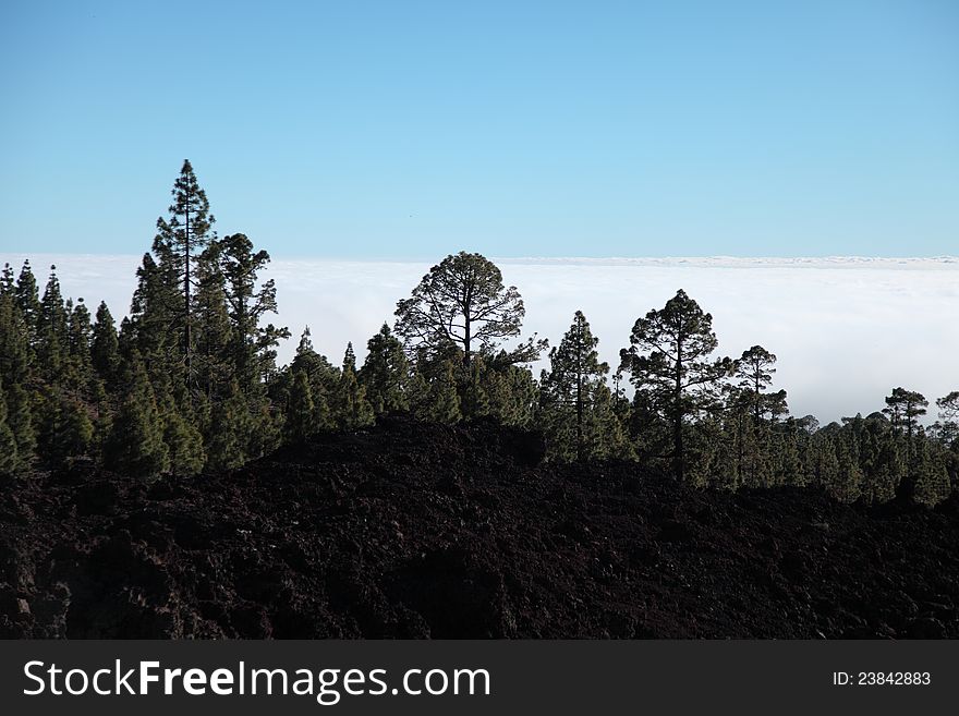 Evening light on the lava fields of the Teide volc