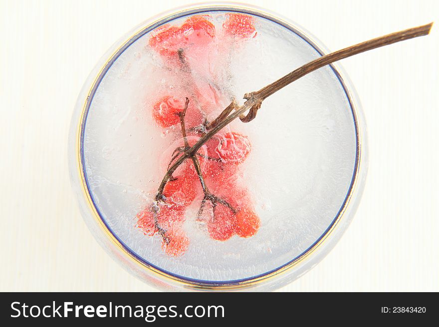 branch with Viburnum berries in ice. branch with Viburnum berries in ice.