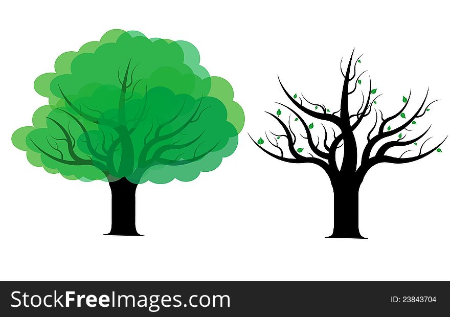 Vector illustration of two spring or summer trees . Vector illustration of two spring or summer trees .