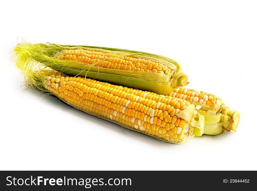 Corn vegetable on white background.