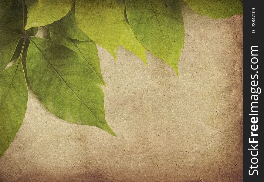 Green leaves on old grunge antique paper texture. Green leaves on old grunge antique paper texture