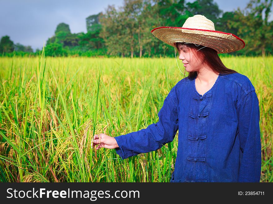 Smiling woman in farmer suit on rice fields. Smiling woman in farmer suit on rice fields