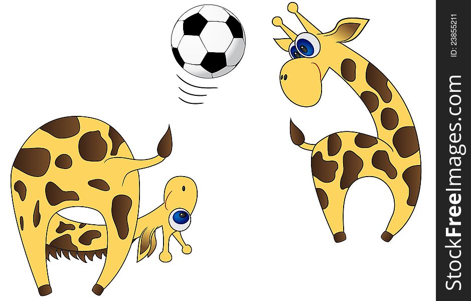 Two giraffes throw a football to each other. Two giraffes throw a football to each other