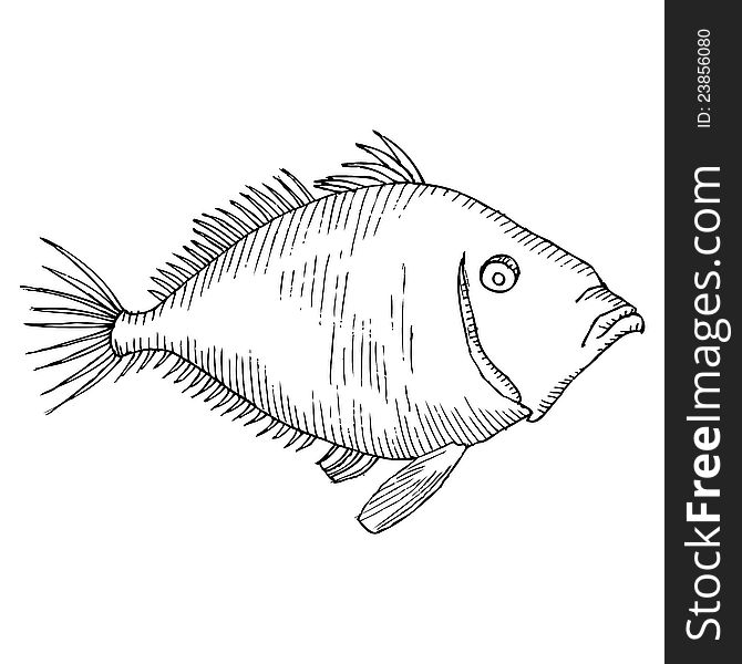 Fish drawing- black and white