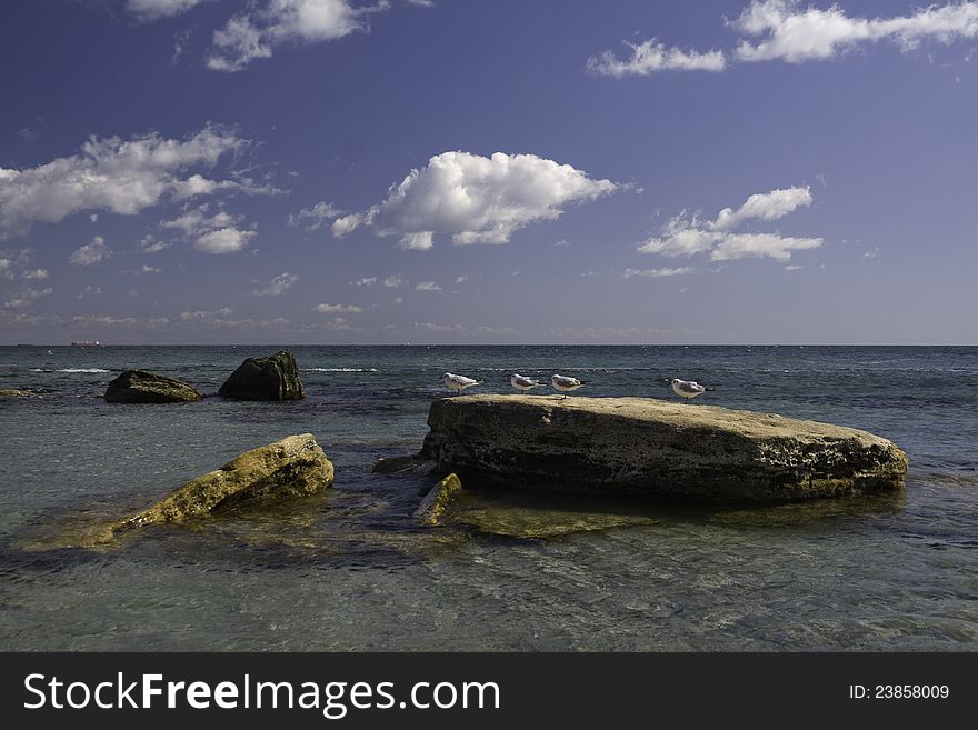 Seagulls sitting on the stones. Seagulls sitting on the stones