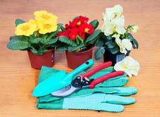 Gardening Tools With Flowers Royalty Free Stock Images Gardening Tools With Flowers Royalty Free Stock Images