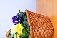 Spring Flowers In Old Wooden Basket Royalty Free Stock Image Spring Flowers In Old Wooden Basket Royalty Free Stock Image