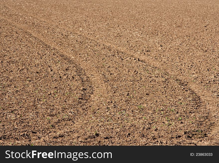 Close-up of a harvested field. Close-up of a harvested field