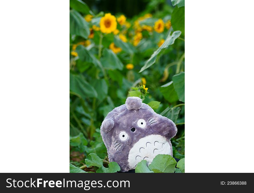 A cute doll of Chinchilla in a field of Sunflower