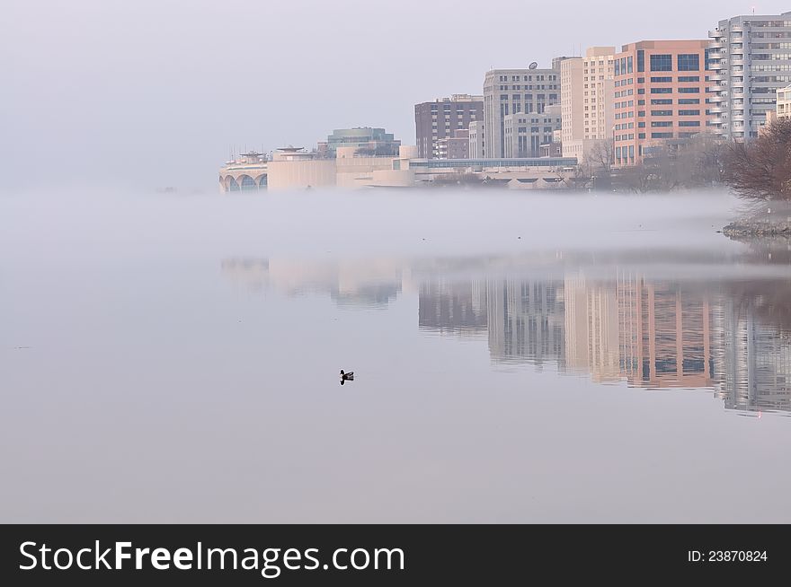 Fog rolling in from the lake to the city. Reflections of the buildings in the lake where the fog has yet to appear. Duck feeding in lake in foreground. Fog rolling in from the lake to the city. Reflections of the buildings in the lake where the fog has yet to appear. Duck feeding in lake in foreground