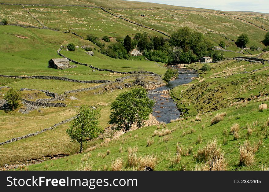 River running through typical yorkshire dales country. River running through typical yorkshire dales country