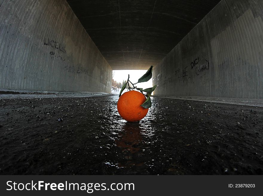 Orange under a dark bridge. Orange under a dark bridge