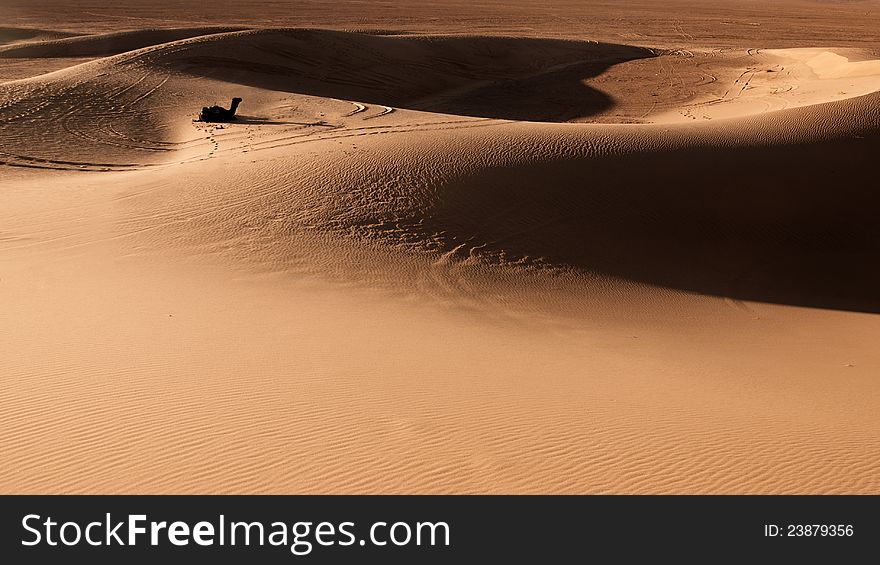 Wallpaper image of sand dunes with a silhouette of camel, Erg Chigaga, Moroccan Sahara. Wallpaper image of sand dunes with a silhouette of camel, Erg Chigaga, Moroccan Sahara