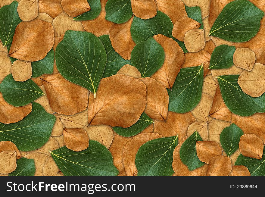 Green and brown leaf background for decoration