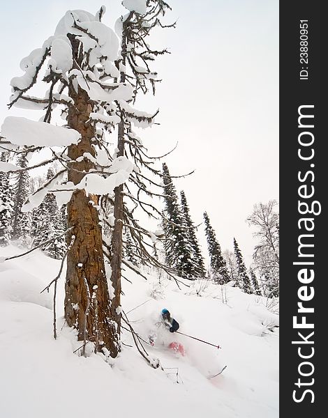 Freerider skiing in Siberia