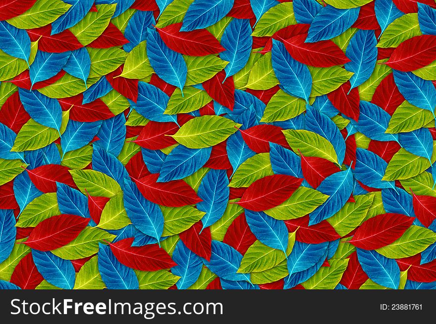 Background of colorful leaf for decoration