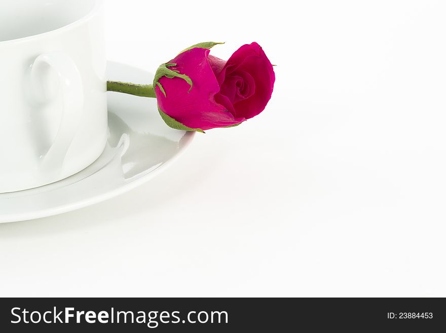 Cup of coffee with red rose on white background