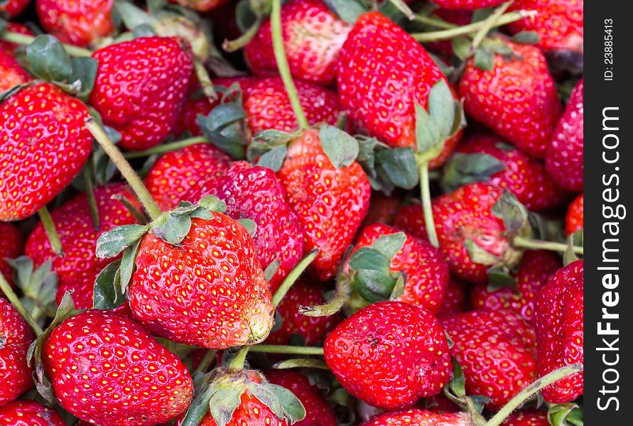 Ripe Red Strawberries in Market