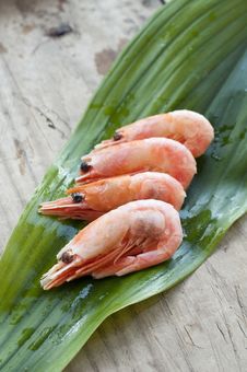Shrimps Royalty Free Stock Photo Shrimps Royalty Free Stock Photo