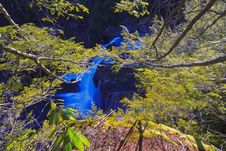 Waterfalls And Hemlock Pine Buds In Early Spring Stock Photos Waterfalls And Hemlock Pine Buds In Early Spring Stock Photos