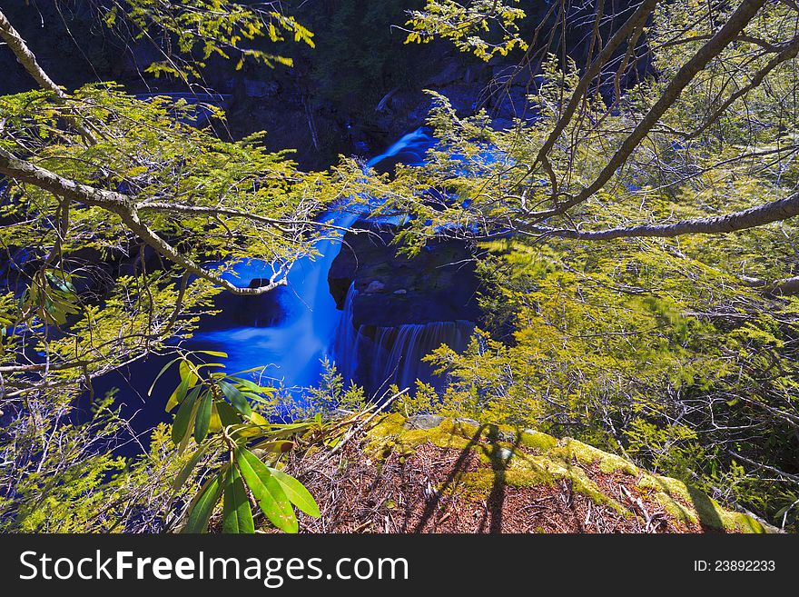 Waterfalls and hemlock pine buds in early spring