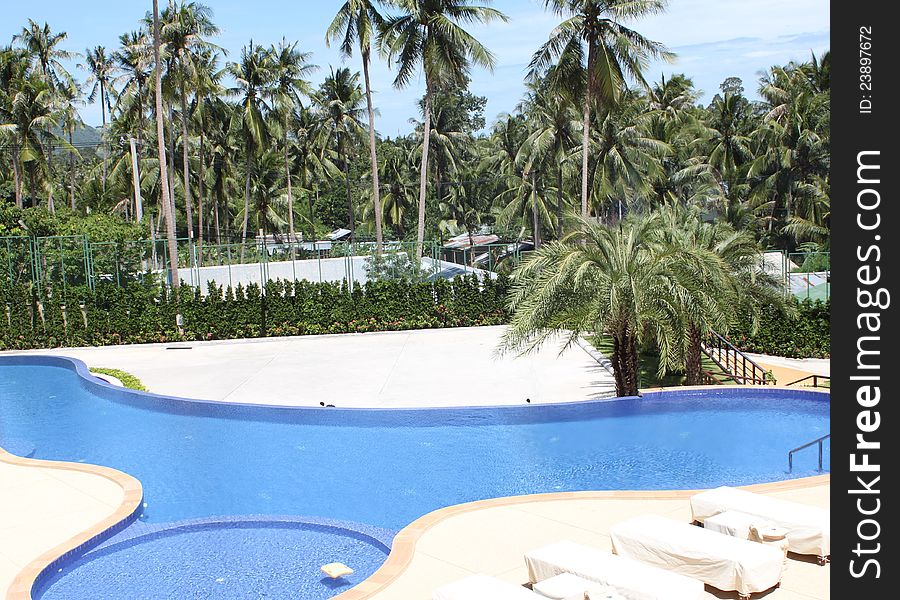 Swimming pool on the background of the tropics