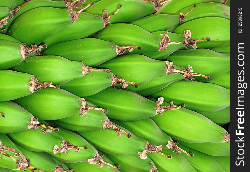 A bunch of green and fresh bananas. A bunch of green and fresh bananas