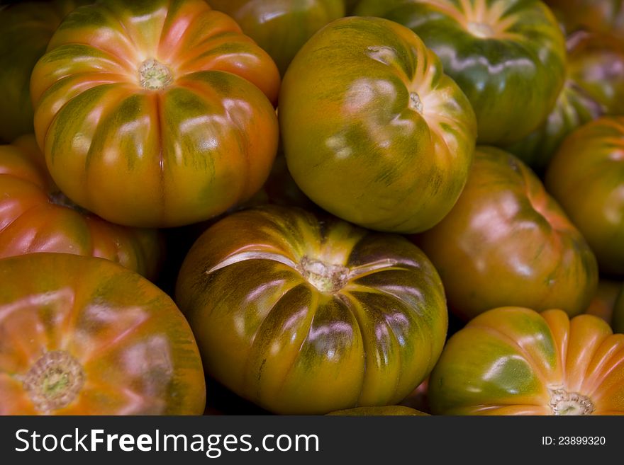 Lots of green spanish tomatoes. Lots of green spanish tomatoes