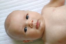 Infant Baby Portrait Royalty Free Stock Photos