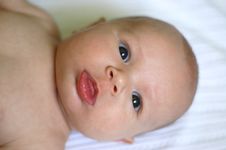 Infant Baby Portrait Stock Image Infant Baby Portrait Stock Image