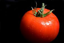 Vine Ripe Tomato Royalty Free Stock Image