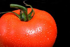 Delicious Vine Ripe Tomato Stock Photo Delicious Vine Ripe Tomato Stock Photo