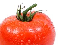 Delicious Vine Ripe Tomato Royalty Free Stock Images Delicious Vine Ripe Tomato Royalty Free Stock Images