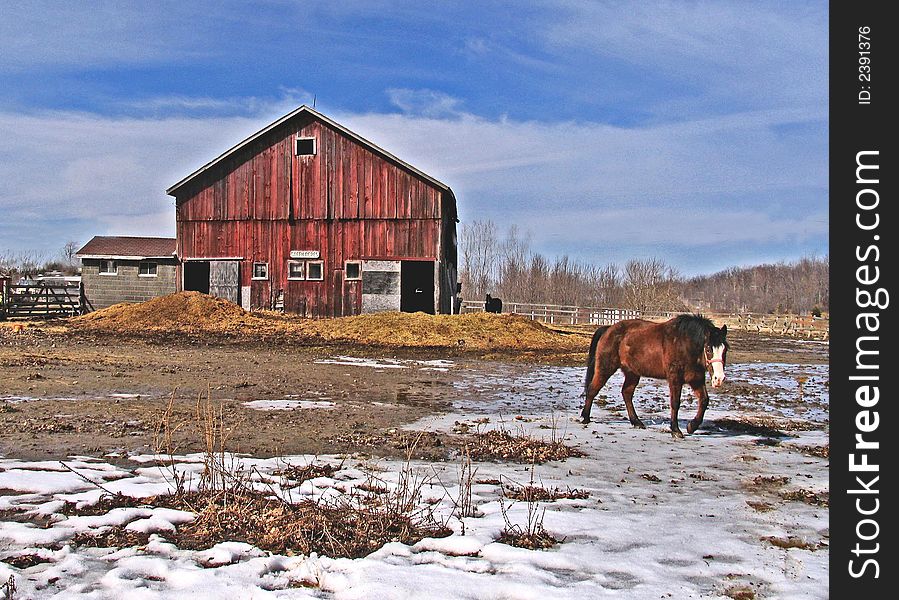 Horse Barn