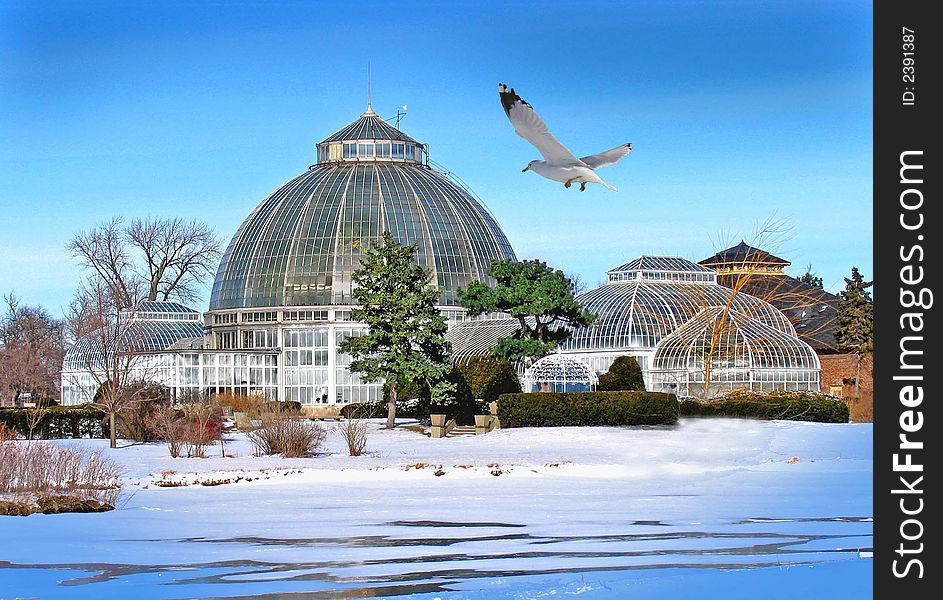 The conservatory on Belle Isle, MI.